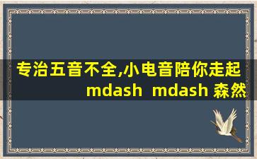 专治五音不全,小电音陪你走起 mdash  mdash 森然播吧二代电音版声卡,森然播吧二代声卡配什麦克风好
